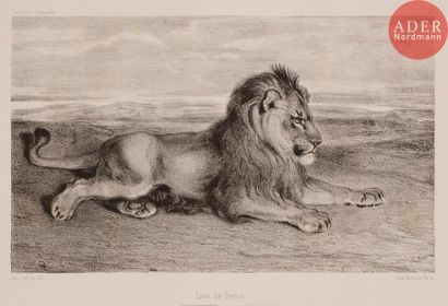 Antoine-Louis BARYE Antoine-Louis BARYE
 Lion de Perse. 1832. Lithographie. 137 x 227....