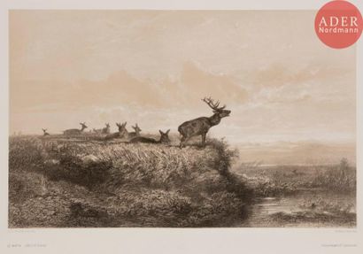 Karl BODMER Karl BODMER
 Animaux et paysages d’après nature. 1858. Lithographie....