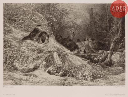 Karl BODMER Karl BODMER
 Animaux et paysages d’après nature. 1858. Lithographie....