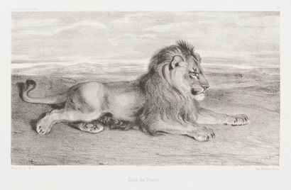 null Antoine-Louis Barye (1796-1875) 
Étude de tigre ; Lion de Perse. 1832. Lithographie....