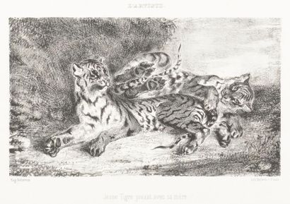 null Eugène Delacroix (1798-1863) 
Jeune tigre jouant avec sa mère. 1831. Lithographie....
