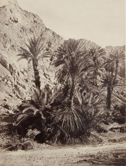 null Francis Frith (1822- 1898) 

Égypte, c. 1860. 

Rue du Caire. Sinaï. Mont Horeb....