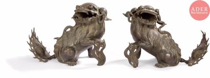 null CHINE - Vers 1900
Paire de chiens de fô assis en bronze à patine brune, la gueule...