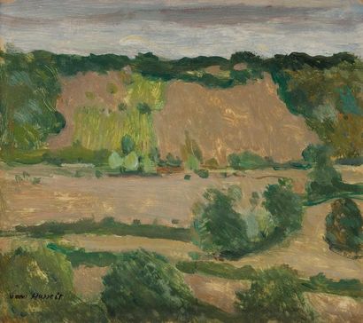 null Willem VAN HASSELT (1882-1963)
Paysage à l’Isle-sur-Serein
Huile sur carton.
Signée...