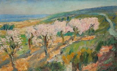 null René SEYSSAUD (1867-1952)
Amandiers fleuris en Provence
Huile sur toile.
Signée...