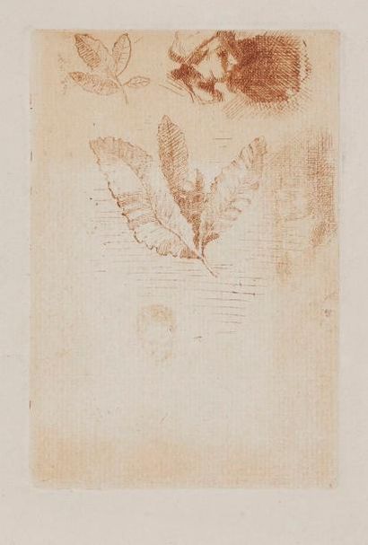 null Odilon Redon (1840-1916)
Croquis. Avant 1870. Eau-forte. 81 x 121. Mellerio...