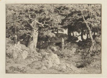 null Théodore Rousseau (1812-1867)
Chênes de roche. Mai 1861. Eau-forte. 210 x 132....