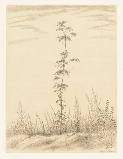 null Kiyoshi Hasegawa (1891-1980)
Un jeune arbre. 1953. Eau-forte. 241 x 322. Reifu-Syobo...