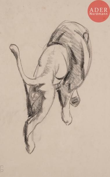 null Charles DELHOMMEAU (1883-1970)Lion couchéDessin au crayon noir.Porte le timbre...