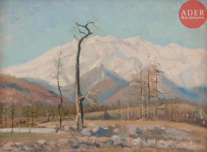Vladimir Petrovitch TOMILOVSKY (1901-1990) 
Montagnes enneigées
Huile sur carton.
Timbrée...