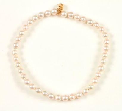 null Collier de perles de culture, fermoir en or 18K (750 ‰). 
Poids brut : 29,9...