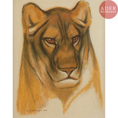 null André MARGAT 51903-1997)
Tête de lionne, 1930
Pastel de couleurs. Vendu encadré....