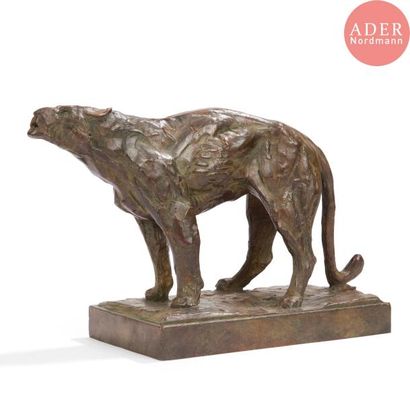 null Albéric COLLIN (1886-1962)
Lionne humant 
Sculpture. Épreuve en bronze à patine...