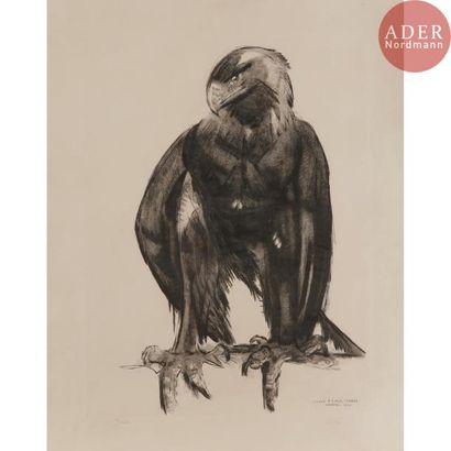 null Paul JOUVE (1878-1973)
Aigle à l'aile cassée, œuvre conçue vers [1927]
Eau-forte....