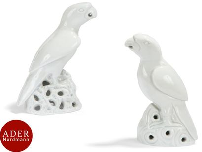 null CHINE - XVIIIe siècle
Couple de perruches en porcelaine blanche posées sur des...