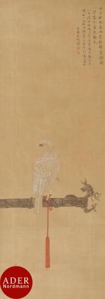 null CHINE - XIXe siècle
Encre et couleurs sur soie contrecollée sur papier, faucon...
