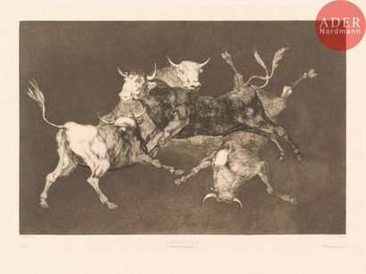null Francisco de Goya y Lucientes (1746-1828)
¡ Que guerrero ! ; Una reïna del circo ;...
