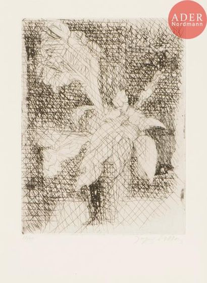 null Jacques Villon (Gaston Duchamp, dit) (1875-1963)
Fleurs. 1943-1944. Eau-forte....