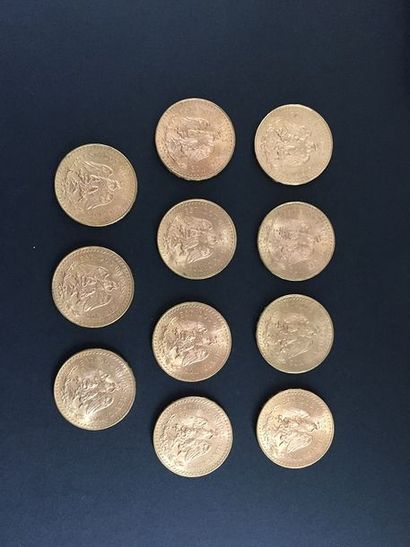 null 11 pièces de 50 Pesos en or dans un sachet numéroté 2017042

Frais acheteur...