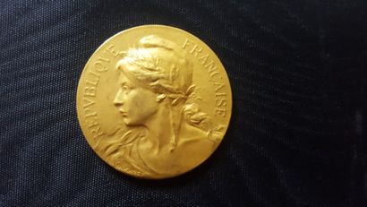 null Une médaille en or. Prix annuel de médecine navale, attribuée à.
Poids: 22,7...