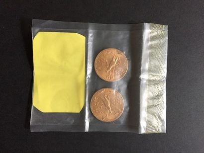 null 2 pièces de 50 pesos en or dans un sachet scellé (03.03.1991) et numéroté J021525

Frais...