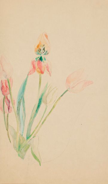 null Paule GOBILLARD (1869-1946)
Tulipes
Aquarelle et gouache sur japon.
Timbrée...