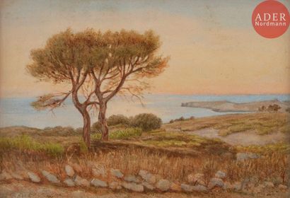 null Ch. ROUX (XIXe siècle)
Paysage méditerrannéen - Provence
2 aquarelles.
L’une...