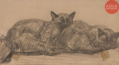  *Théophile Alexandre STEINLEN (1859-1923) Deux chats couchés, 1920 Fusain. Signé,...