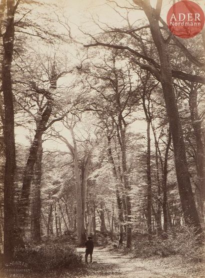 null Constant Alexandre Famin - Achille Quinet
Forêts. Cours d’eau, c. 1870.
Lavandières....