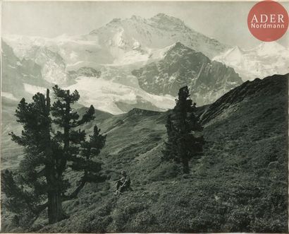 null Adolphe Braun (1811-1877)
Alpes suisses, c. 1880.
Jungfrau et Kleine Scheidegg....