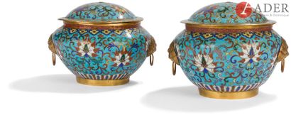 null CHINE - Vers 1900
Paire de pots couverts en bronze et émaux cloisonnés polychromes...