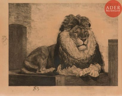 Auguste LANÇON (1836-1885) Auguste Lançon (1836-1885) 
Lion du jardin zoologique...