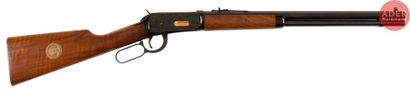 Short rifle modèle 94 Winchester classic...