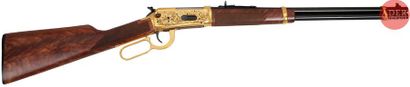 Carabine Winchester modèle 94AE, «?The Arapaho...
