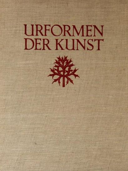 Karl Blossfeldt (1865-1932) Urformen der Kunst Verlag Ernst Wasmuth, Berlin, 1936....