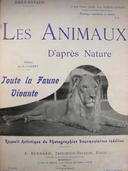 Emile Bayard Les Animaux d'après nature. Toute la faune vivante. Recueil Artistique...