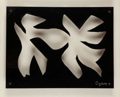 CYAN Les oiseaux Panneau en plexiglas avec néon Signé Cyan 53 x 70 cm
