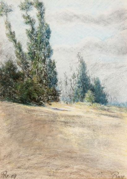 Alphonse RUY (1853-?) Paysage, 1909 Pastel gras Signé en bas à droite et daté à gauche...
