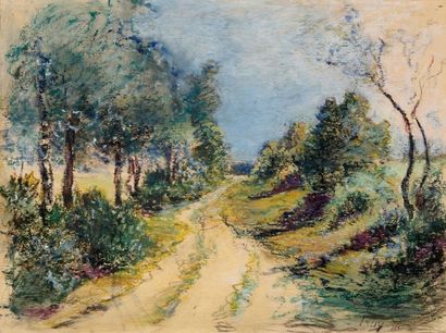 Alphonse RUY (1853-?) Chemin boisé Pastel Signé et daté en bas à droite 24,5 x 31,5...