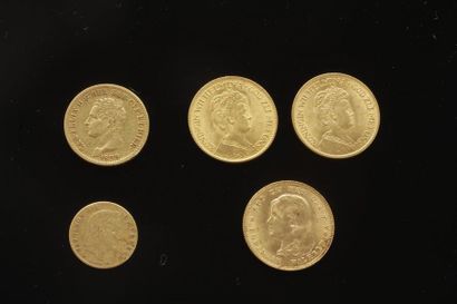 null Lot de 5 pièces en or diverses dans un sachet 2017026.
- 2 pièces de 10 Florins...