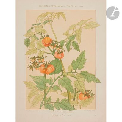 null DÉCORATION MODERNE PAR LA PLANTE - 
2e SÉRIE - FRUITS 
Par E. Mulier et Marc...