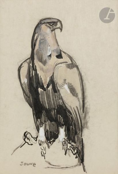 null Paul JOUVE (1880 - 1973)
Aigle, vers 1926
Encre de Chine, crayon et rehauts...