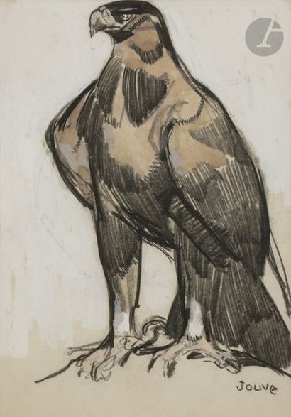 null Paul JOUVE (1880 - 1973)
Aigle, vers 1926
Encre de Chine, crayon et rehauts...