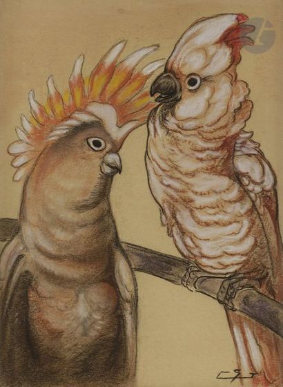 null Gaston SUISSE (1896 - 1988)
Couple de perroquets cacatoès
Crayon et pastel.
Monogrammé...