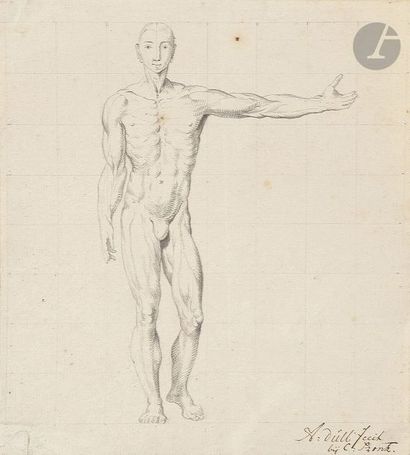 null A. DÜLL
Figures anatomiques
4 dessins, plume et encre noire, mise au carreau
Tous...