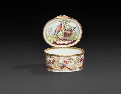 null Tabatière ovale en porcelaine à décor polychrome d’oiseaux sur des arbustes...