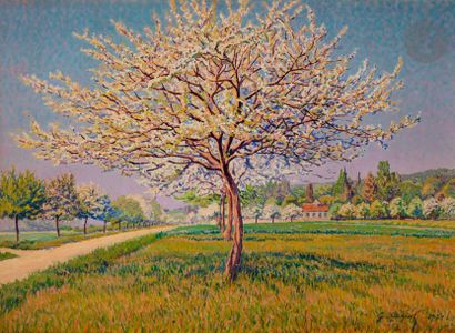 null Gustave-Gaston CARIOT (1872-1950)
Arbres en fleurs, 1929
Huile sur toile.
Signée...