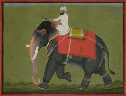 Éléphant et son cornac, Inde, Rajasthan,...