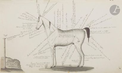 null RZEWUSKI Waclaw (1784 - 1831) [facsimilé]
Sur les chevaux orientaux et provenant...