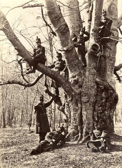 null Photographe non identifié

Arbroglyphe et fantaisie photographique, c. 1880.

Soldats...